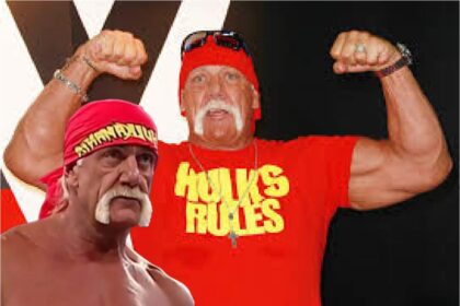 Hulk Hogans Vermögen