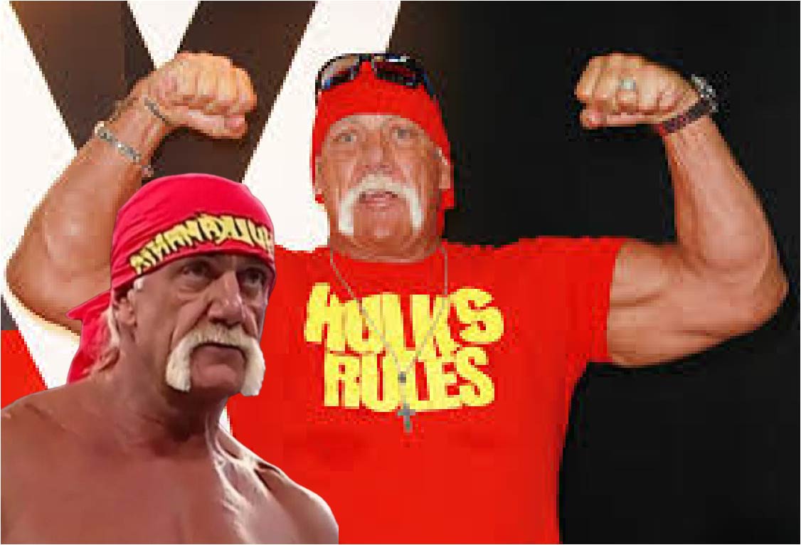 Hulk Hogans Vermögen